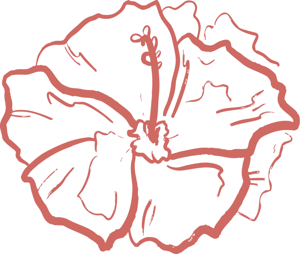 Eine einfache, rote Strichzeichnung einer Hibiskusblüte mit markanten Blütenblättern und sichtbaren Staubgefäßen, perfekt für visuelles Branding oder Logodesign München, vor einem transparenten Hintergrund.