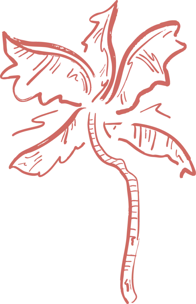 Eine einfache, rote, handgezeichnete Illustration einer Palme mit fünf großen, ungleichmäßigen Blättern und einem langen, leicht gebogenen Stamm mit skizzenhaften Details - ideal für Visual Branding oder logodesign münchen Projekte, die einen kreativen Touch suchen.