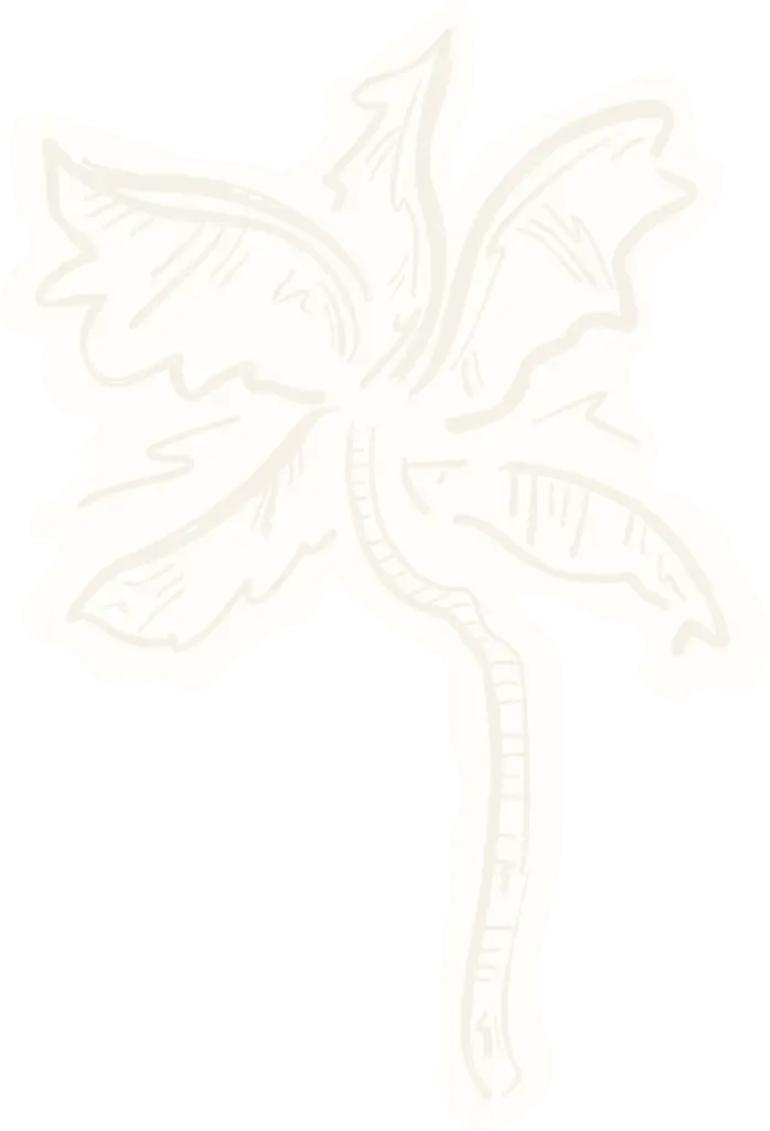 Eine hellbeige, handgezeichnete Illustration eines einzelnen Blattes mit gezackten Kanten und einem strukturierten Stiel, perfekt für visuelles Branding oder Grafik Design München Projekte, auf einem transparenten Hintergrund.